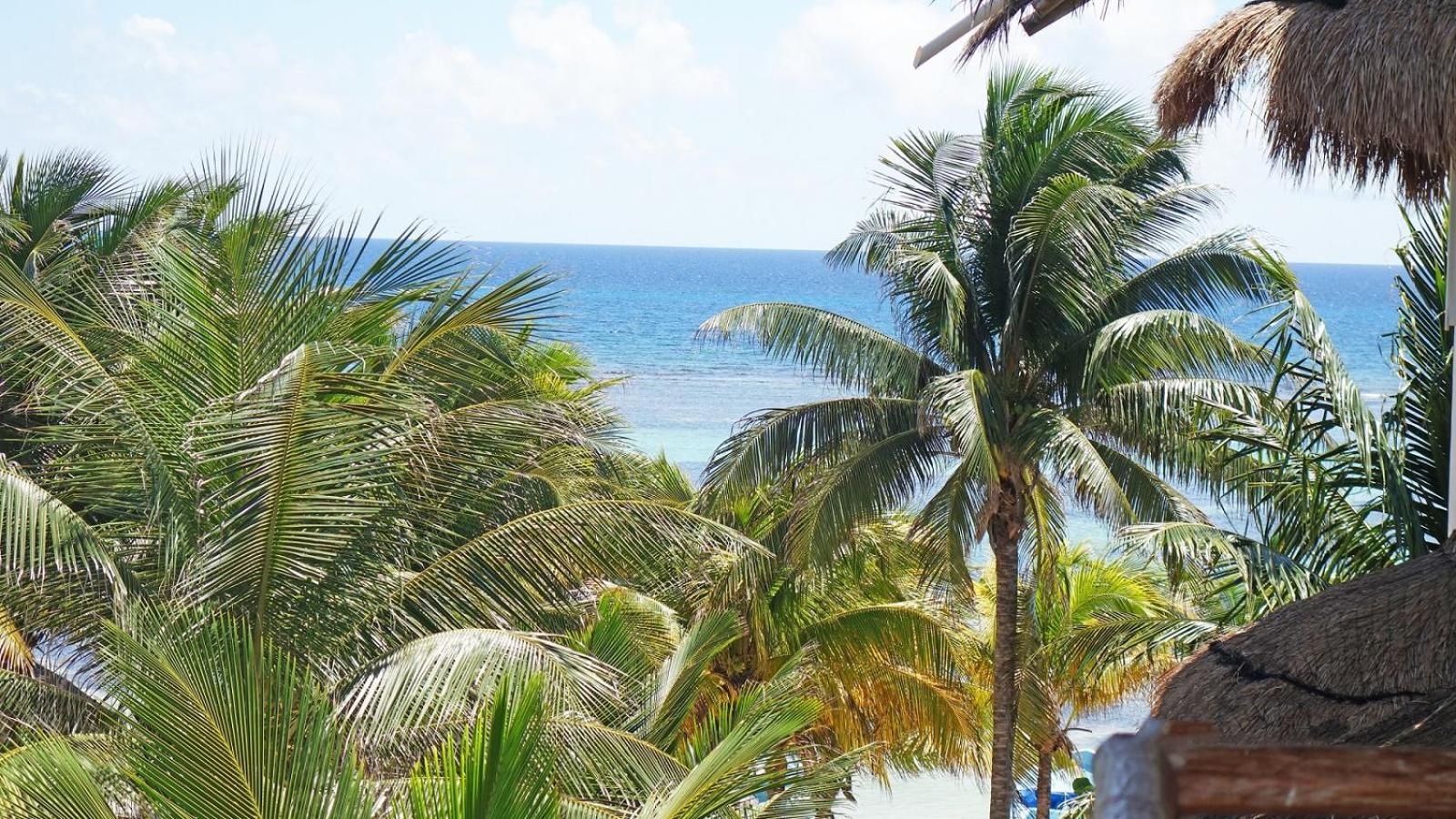 El Fuerte Beach Apartments Mahahual Camera foto